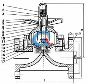 氟塑料隔膜閥 結(jié)構(gòu)尺寸圖